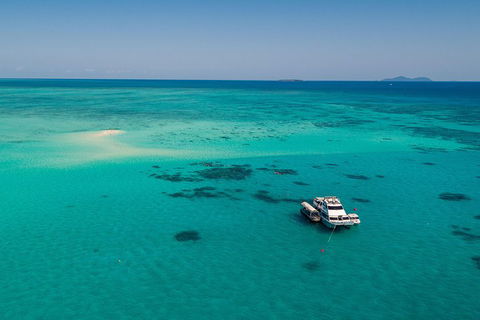 Ocean Freedom Great Barrier Reef Personal Luxury Snorkel & Dive Cruise, Cairns - Tourism Gold Coast 2