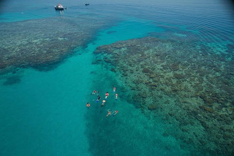 Ocean Freedom Great Barrier Reef Personal Luxury Snorkel & Dive Cruise, Cairns - Tourism Gold Coast 3