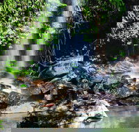 Full Day Small Group Luxury Tour to Tamborine Mountain - Tourism Gold Coast