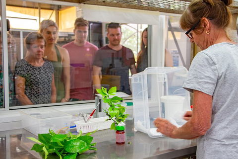 Australian Butterfly Sanctuary - Tourism Gold Coast 5