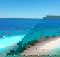 Ocean Safari Great Barrier Reef Experience in Cape Tribulation - Gold Coast