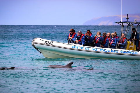 Kangaroo Island 75-Minute Ocean Safari - Tourism Gold Coast 4