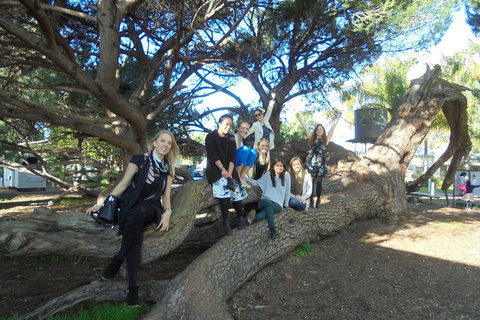 1/2 Day Swan Valley Wine Cheese & Chocolate Tour Inc Afternoon Cruise To Perth - Tourism Gold Coast 0