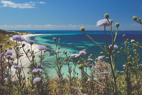 Rottnest Island Full-Day Trip With Guided Island Tour From Perth - Tourism Gold Coast 2