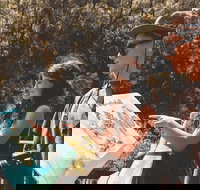 Springbrook andTamborine Rainforest Tour Incl Natural Bridge and Glow Worm Cave - Tourism Gold Coast