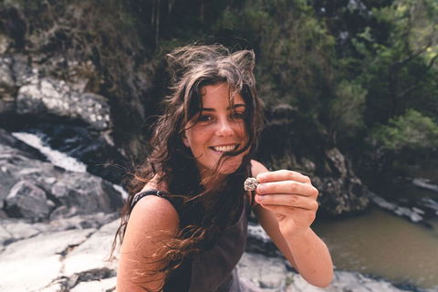 Springbrook AndTamborine Rainforest Tour Incl Natural Bridge And Glow Worm Cave - Tourism Gold Coast 1