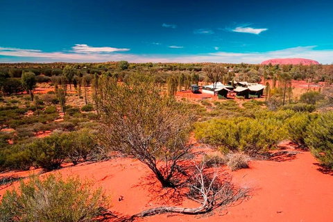 Overnight Uluru (Ayers Rock) Small-Group Camping Tour - Tourism Gold Coast 2