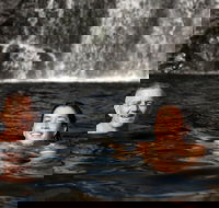 3 Day 4WD Dragonfly Dreaming Top End Safari - Gold Coast