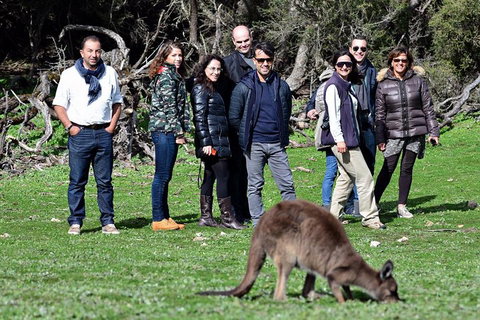 2-Day Kangaroo Island 4WD Small-Group Tour From Adelaide - Tourism Gold Coast 1