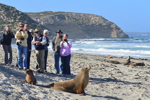 2-Day Kangaroo Island 4WD Small-Group Tour From Adelaide - Tourism Gold Coast 3