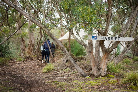 2-Day Kangaroo Island 4WD Small-Group Tour From Adelaide - Tourism Gold Coast 5