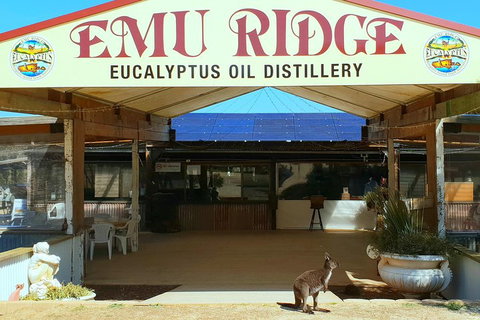 2 Day Ultimate Kangaroo Island With Return Ferry - Tourism Gold Coast 3