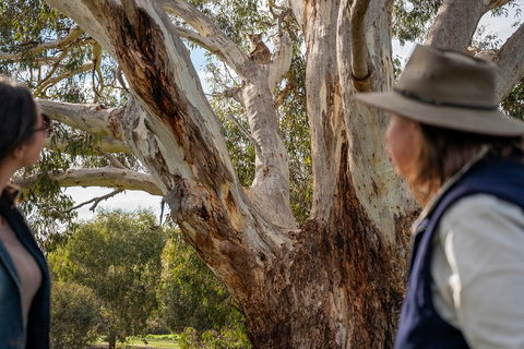NEW TOUR - Kangaroo Island Road To Recovery Tour (1 Day/1 Night) - Tourism Gold Coast 0