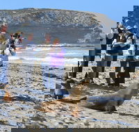 Full day Seal Bay Experience departing from Kangaroo Island - Tourism Gold Coast