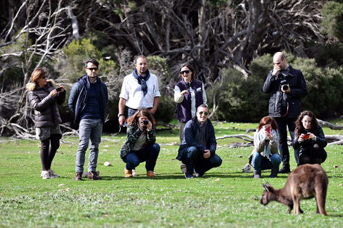 Small-Group Kangaroo Island 4WD Tour From Adelaide - Tourism Gold Coast 2