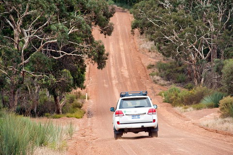 Small-Group Kangaroo Island 4WD Tour From Adelaide - Tourism Gold Coast 3