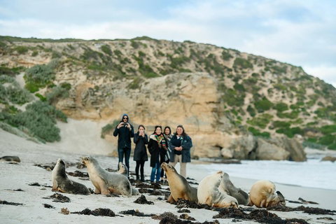 Small-Group Kangaroo Island 4WD Tour From Adelaide - Tourism Gold Coast 4