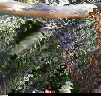 Small-Group Great Ocean Road Day Trip from Melbourne - Tourism Gold Coast