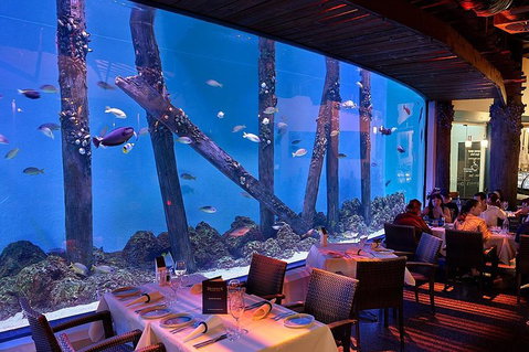 Cairns Aquarium And Small Group City Sightseeing Tour - Tourism Gold Coast 4