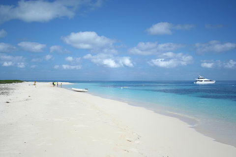Seastar Luxury Outer Great Barrier Reef Island And Reef Tour From Cairns - Gold Coast 3