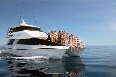 Seastar Luxury Outer Great Barrier Reef Island And Reef Tour From Cairns - Gold Coast 4