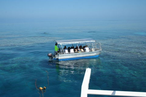 Seastar Luxury Outer Great Barrier Reef Island And Reef Tour From Cairns - Gold Coast 5