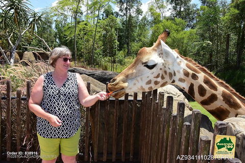 Small-Group Australia Zoo Day Trip From Brisbane - Tourism Gold Coast 2
