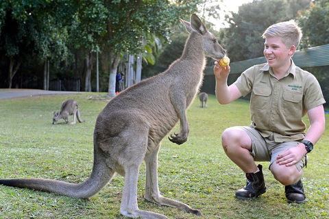 Small-Group Australia Zoo Day Trip From Brisbane - Tourism Gold Coast 4