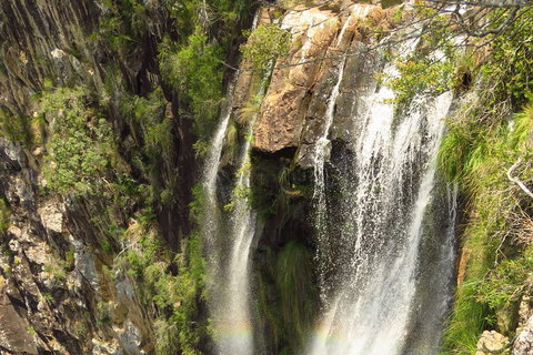 Beyond Byron Hinterland Tour - Tourism Gold Coast 5