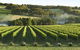 Mornington Peninsula Winery Tours With Cheese, Chocolate Tastings From Melbourne - thumb 4