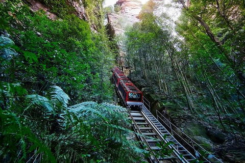 Blue Mountains Private Tour With Kangaroos & Koala Encounter - Tourism Gold Coast 1