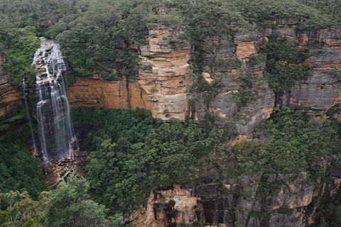 Blue Mountains Private Tour With Kangaroos & Koala Encounter - Tourism Gold Coast 2