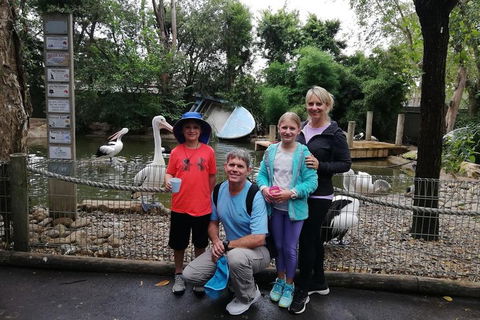 Blue Mountains Private Tour With Kangaroos & Koala Encounter - Tourism Gold Coast 4