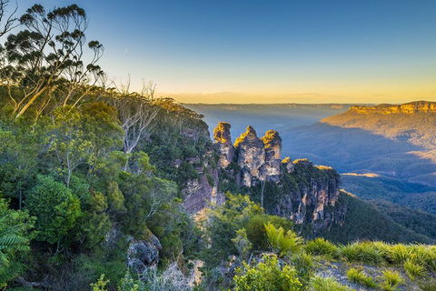 Blue Mountains Private Tour With Kangaroos & Koala Encounter - Tourism Gold Coast 5