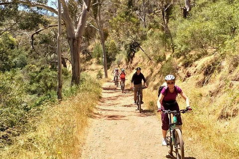 Mount Lofty Descent Bike Tour From Adelaide - Tourism Gold Coast 3