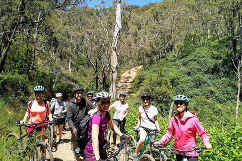 Mount Lofty Descent Bike Tour From Adelaide - Tourism Gold Coast 5