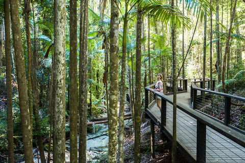All-Inclusive Fraser Island Day Tour - Tourism Gold Coast 5