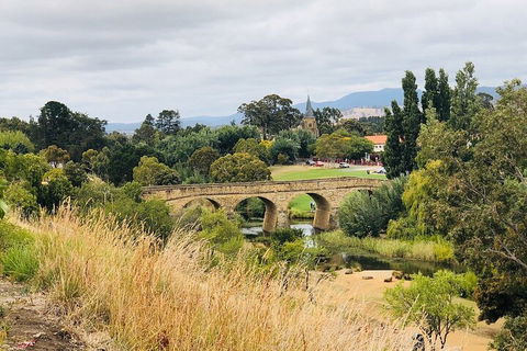 Day Tour In Mt. Field, Mt. Wellington, Bonorong Wildlife Sanctuary And Richmond - Gold Coast 3