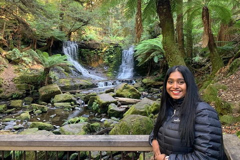 Day Tour In Mt. Field, Mt. Wellington, Bonorong Wildlife Sanctuary And Richmond - Gold Coast 5