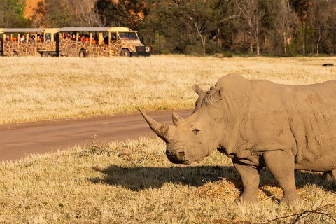 Sunset Safari At Werribee Open Range Zoo - Tourism Gold Coast 1