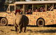 Sunset Safari At Werribee Open Range Zoo - thumb 5
