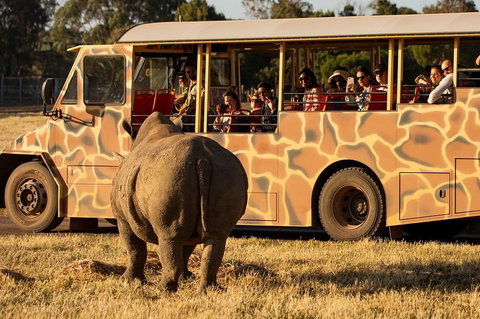 Sunset Safari At Werribee Open Range Zoo - Tourism Gold Coast 5