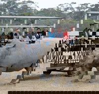 Off-Road Safari at Werribee Open Range Zoo - Tourism Gold Coast