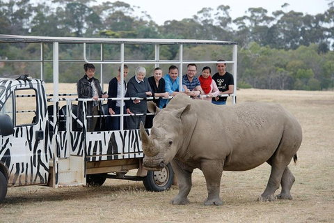 Off-Road Safari At Werribee Open Range Zoo - Gold Coast 0