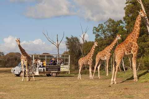 Off-Road Safari At Werribee Open Range Zoo - Gold Coast 3