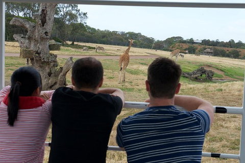 Off-Road Safari At Werribee Open Range Zoo - Gold Coast 4