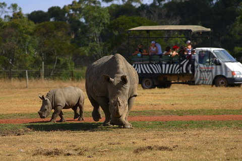 Off-Road Safari At Werribee Open Range Zoo - Gold Coast 5