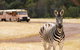 Werribee Open Range Zoo General Admission Ticket - thumb 5