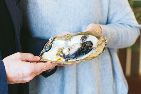 Half-Day Willie Creek Pearl Farm Tour With Helicopter Flight - Tourism Gold Coast 3