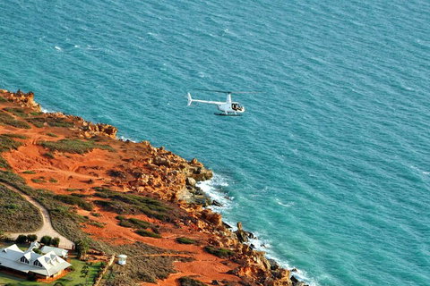 Half-Day Willie Creek Pearl Farm Tour With Helicopter Flight - Tourism Gold Coast 4